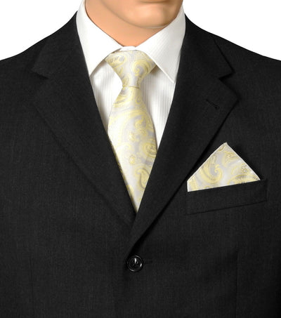 Silver And Gold Paisley Ties