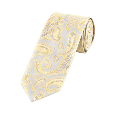 Silver And Gold Paisley Ties